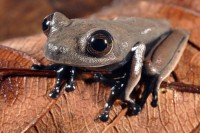 /album/fotogaleria/priroda-vedci-druhovia-jpg/